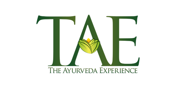 the-ayurveda-experience